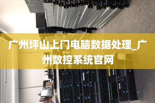 广州坪山上门电脑数据处理_广州数控系统官网