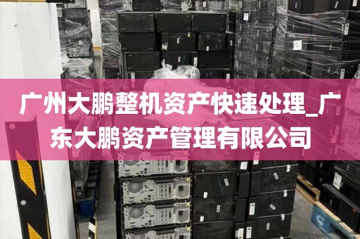 广州大鹏整机资产快速处理_广东大鹏资产管理有限公司
