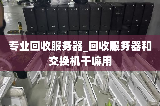 专业回收服务器_回收服务器和交换机干嘛用