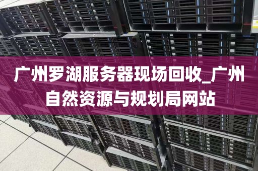 广州罗湖服务器现场回收_广州自然资源与规划局网站